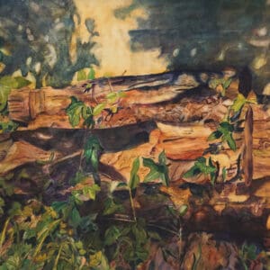 光の揺らめきに包まれて　中島広子